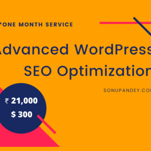 Advanced WordPress SEO Optimization ₹21000 or $300