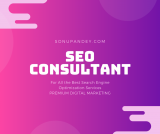 Unlocking Your Business’s Online Potential: Sonu Pandey – The Best SEO Consultant You Need to Succeed in 2023